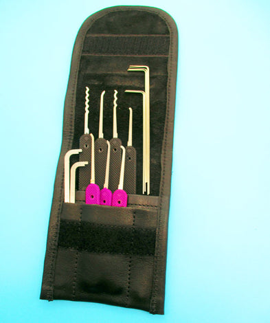 THE MAYOR PICK SET-GSP- LEATHER CASE